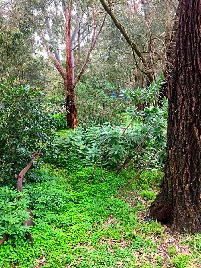 Sherwood Park bed and breakfast