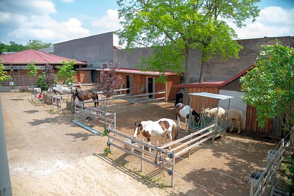 Ranchzimmer am Hippo-Campus Reit- und Therapiezentrum
