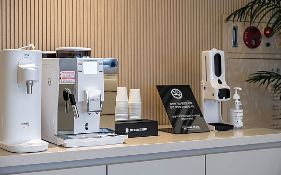 Brown Dot Gangneung Gyeongpo