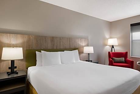King Room - Pet Friendly
