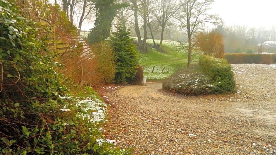 Le chant des oiseaux