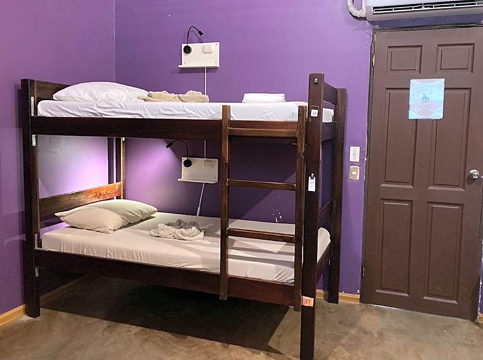 TamaHostel & Glamping