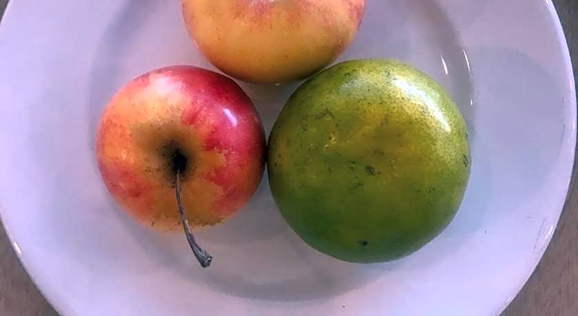 Mayflower Grand Hotel Korat