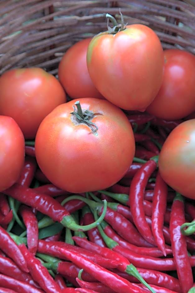 Agriturismo Cascina Cipressa