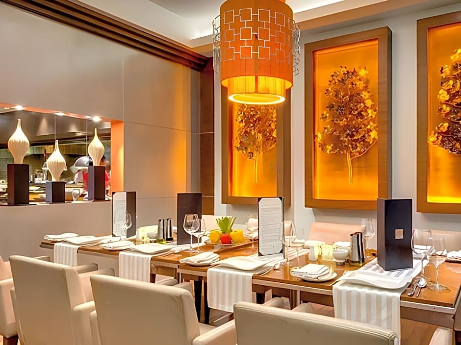 Hotel Hindustan International