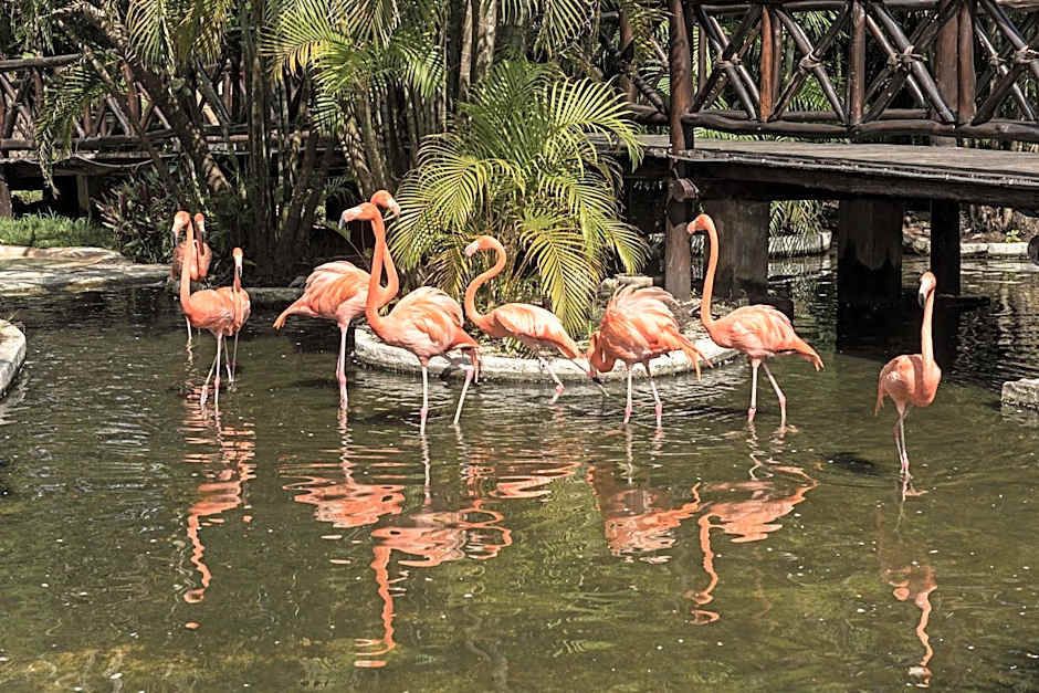 Iberostar Cozumel - All Inclusive