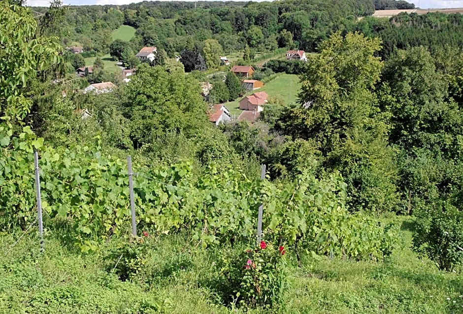 B&B CHEZ FOUCHS - Chambre d'hôtes