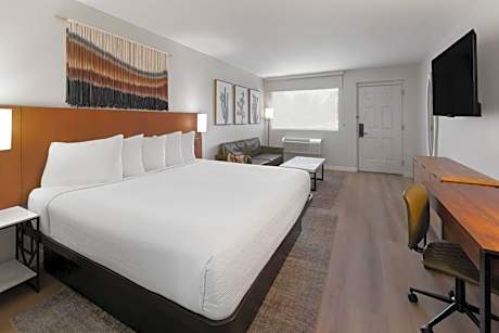 Mini King Suite - Non-Smoking