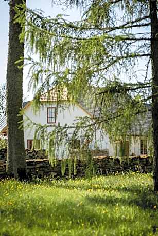 Double Room with Patio
