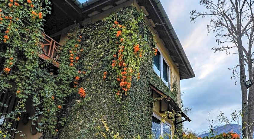 Hotel Seclude Palampur