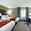 Comfort Inn Hoffman Estates - Schaumburg