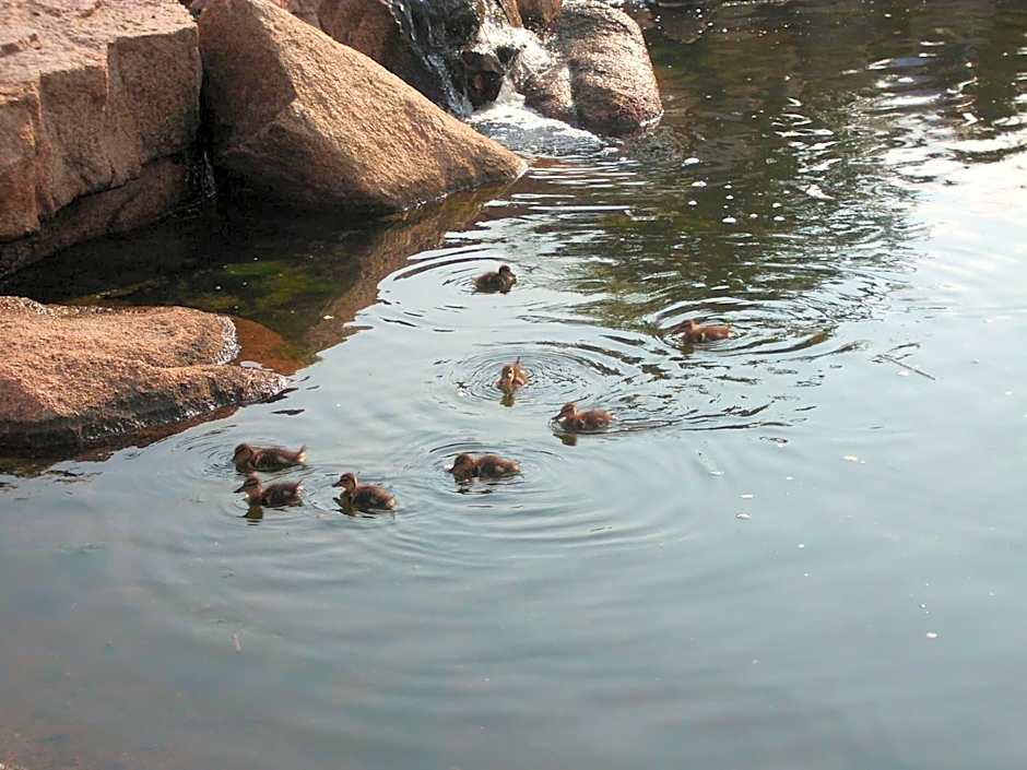 Bagaglino I Giardini Di Porto Cervo