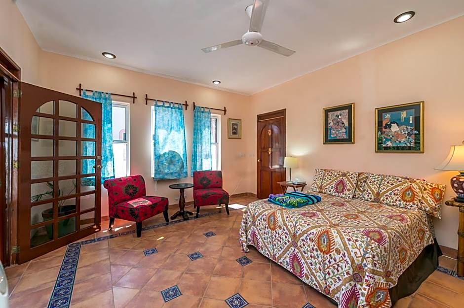 Casa Gatos