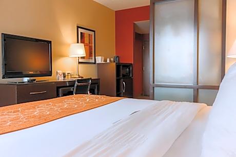 King Suite with Sofabed