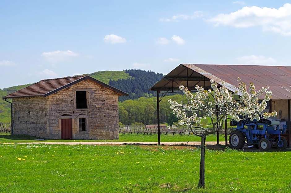 Domaine Joseph LAFARGE Wine Resort B&B