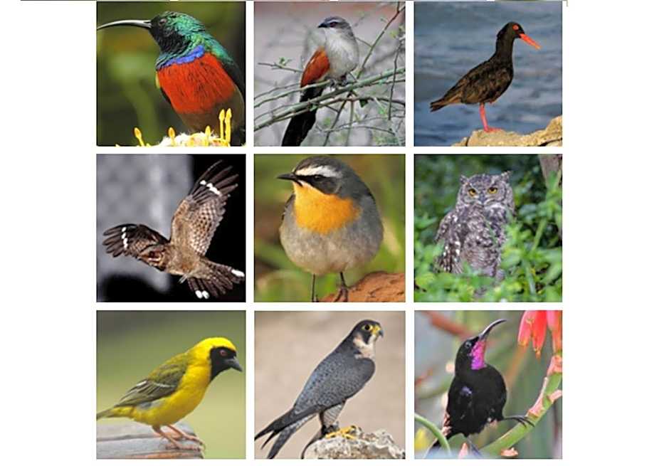 Erika27 Top B&B Choice