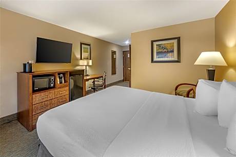 Accessible - 1 King Mobility Accessible Communication Assistance Bathtub Non-Smoking Full Breakfast