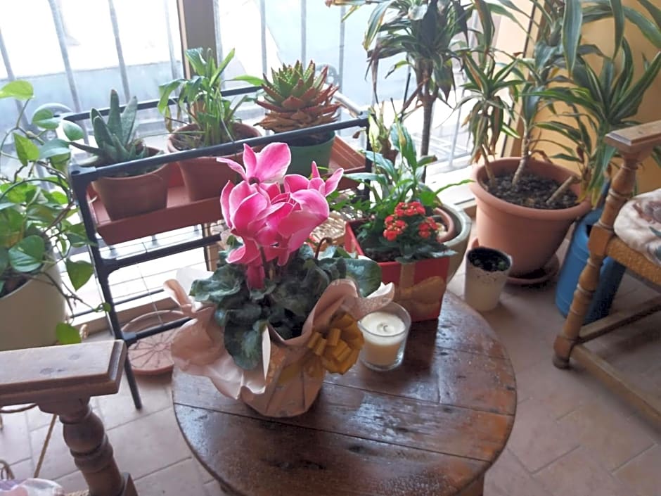 "LA MAISON DEL CORSO" Hospitality