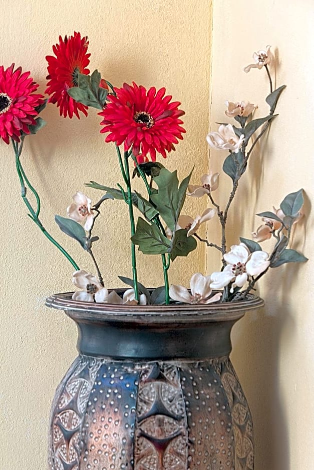 B&B Doria Valle Maira