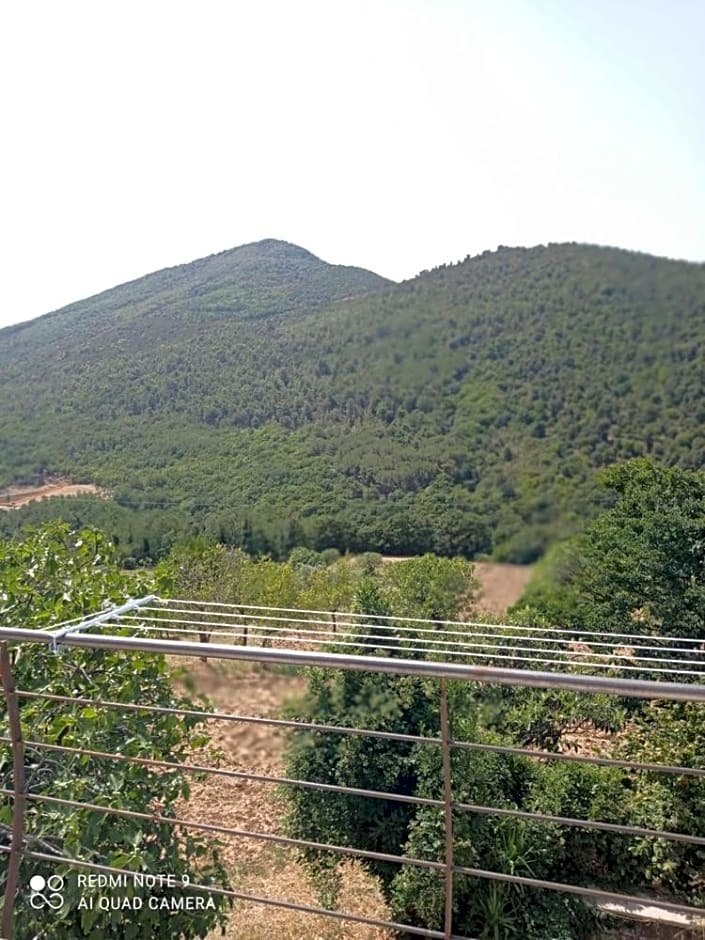 La Carrozza sul Titerno