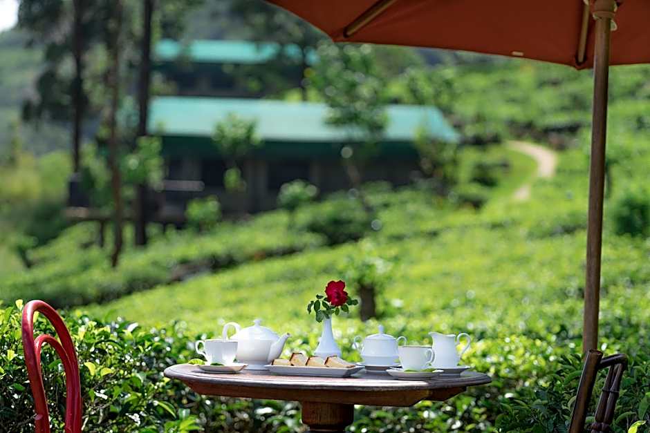 Madulkelle Tea and Eco Lodge