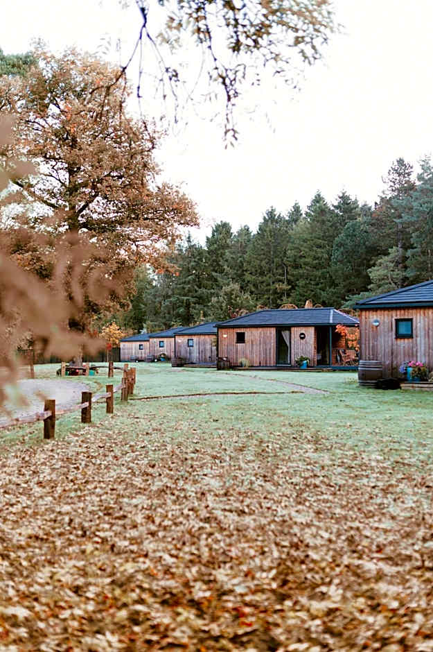Riverside Cabins