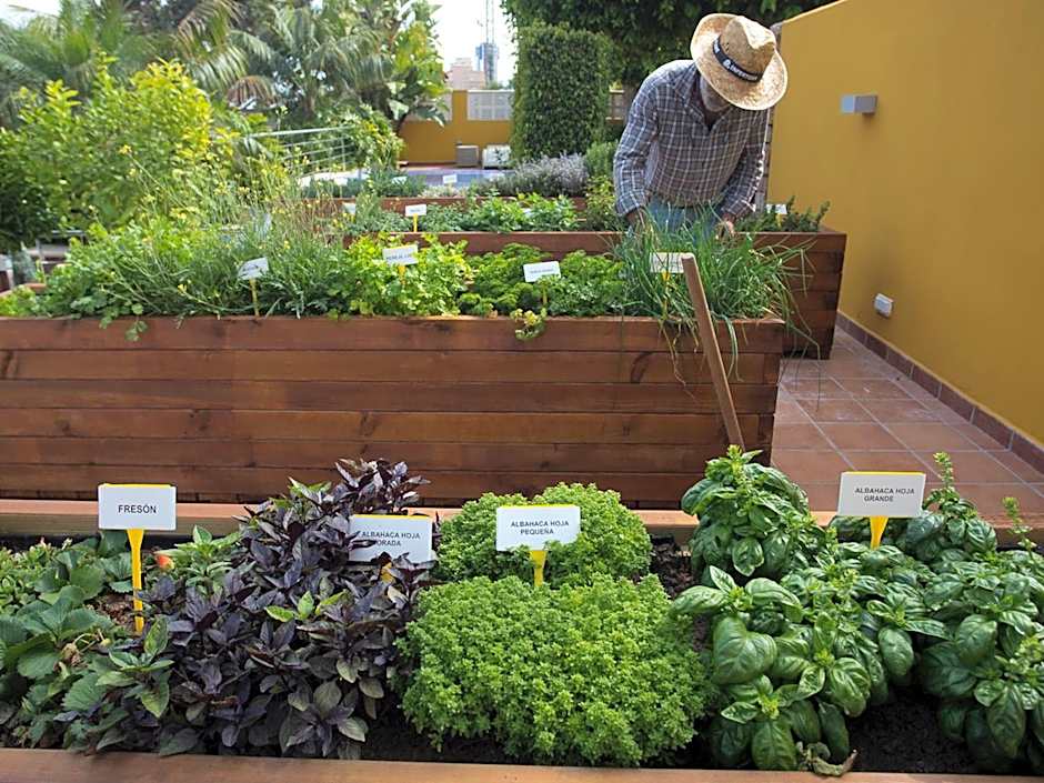 The Cookbook Gastro Boutique Hotel & SPA