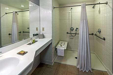 Suite King Bed One Bedroom 