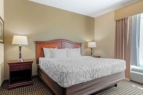 SUITE-1 KING BED,MOBACC,COMM ASSIST,WALKSH,JETTB,NSMK,FULL BREAKFAST