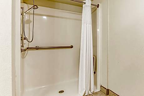 1 King Bed Nonsmoking Accessible