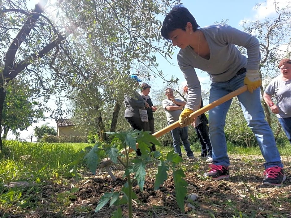 Agriturismo Antico Loggiato