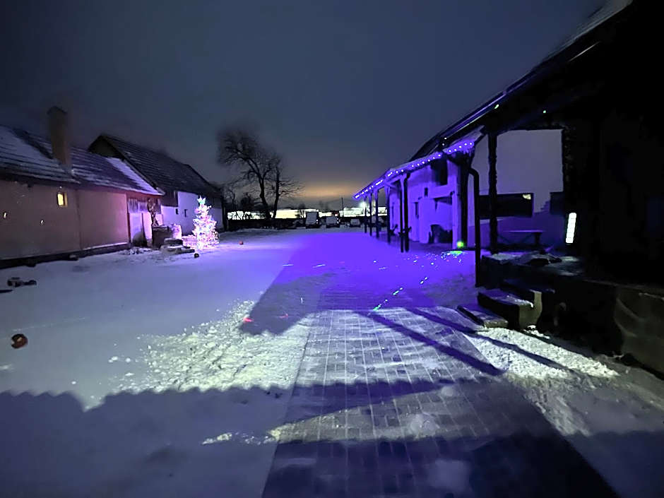 Casa de Lemn Arpasu de jos