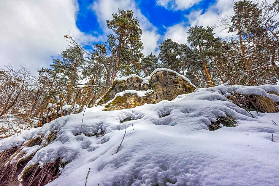 LALO Hotel Abastumani