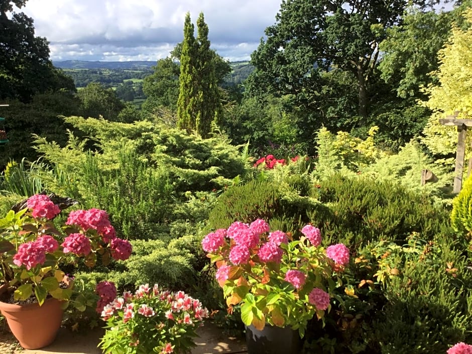 Dwynant - A Room with a View