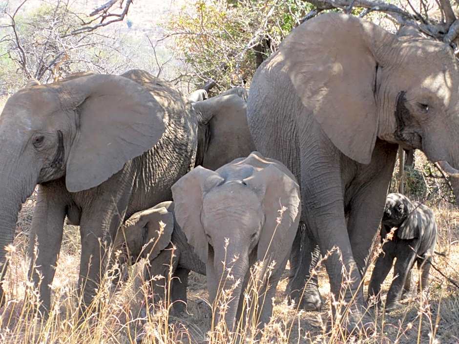 Morokolo Safari Lodge Self-catering