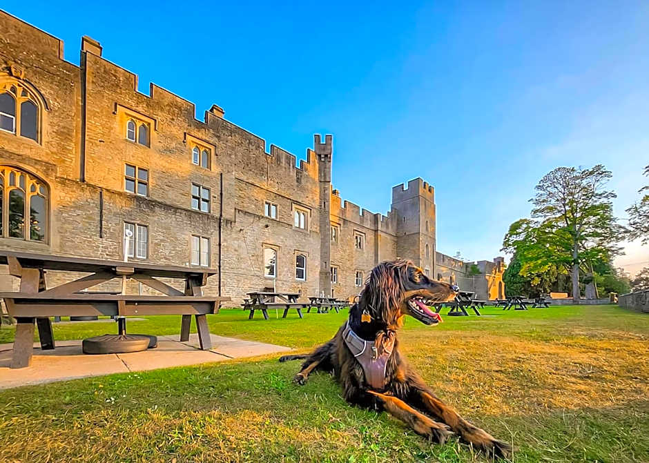 Witton Castle Country Park