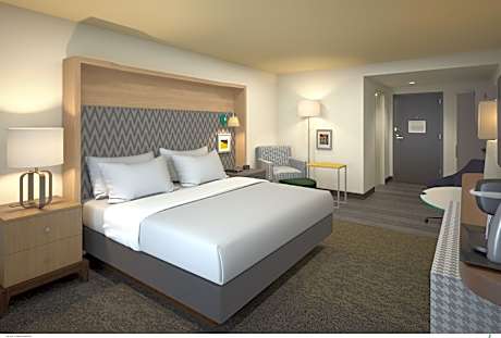 1 King Bed 1 Bedroom Suite