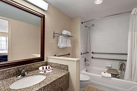 King Room - Mobility Access/Smoking