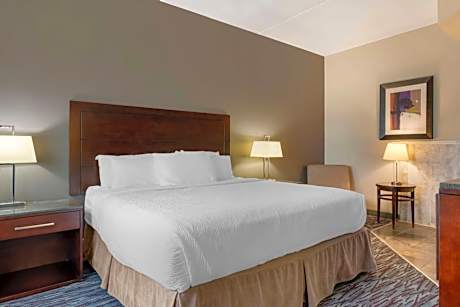Best Western Plus Brandon Inn