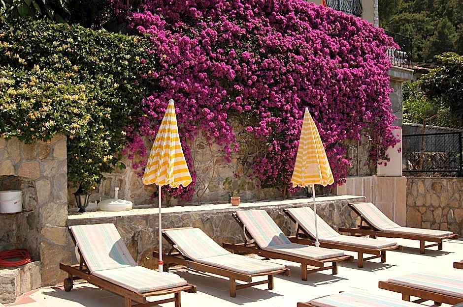 Hotel Villa Daffodil