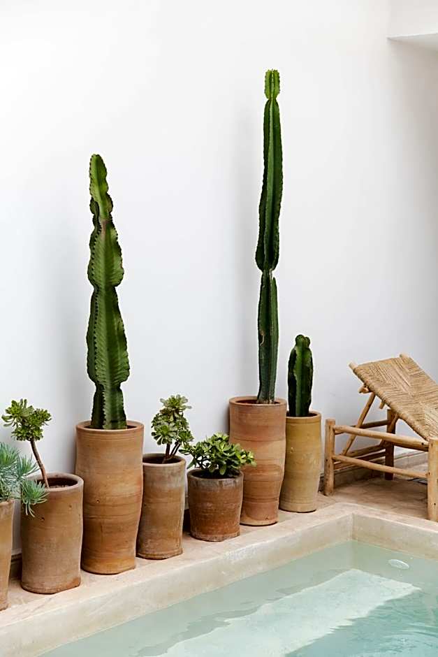 Riad 27 & SPA entièrement privatisé