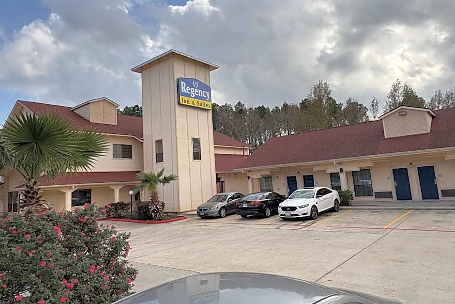 Regency Inn & Suites By Capital O Houston IAH Airport