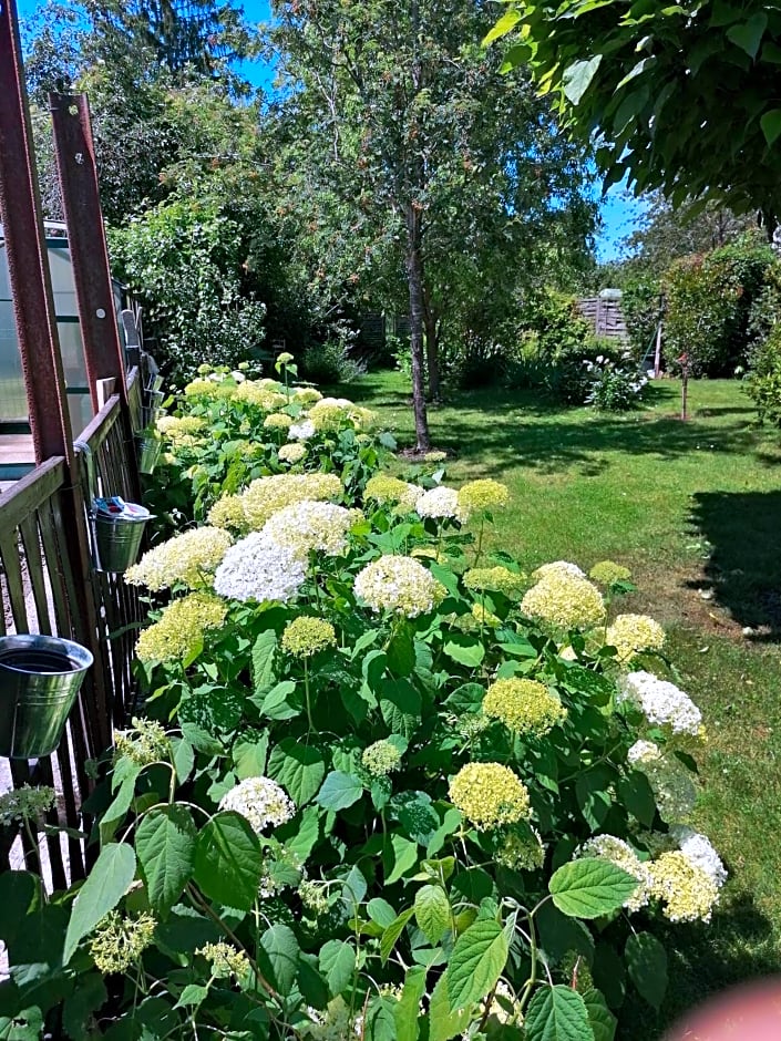 Chambre d'hôtes Les Magnolias