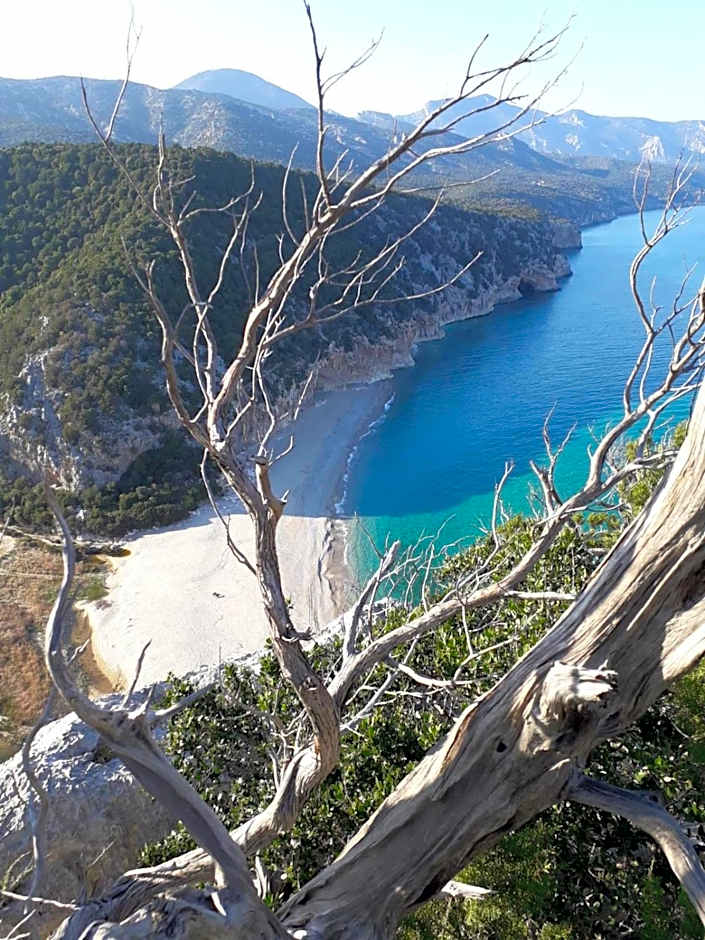 B&B Fradama' Holiday