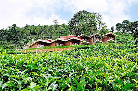 Hanging Huts Resort - Kotagiri
