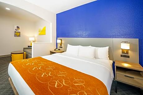 1 King Bed, Suite, Nonsmoking