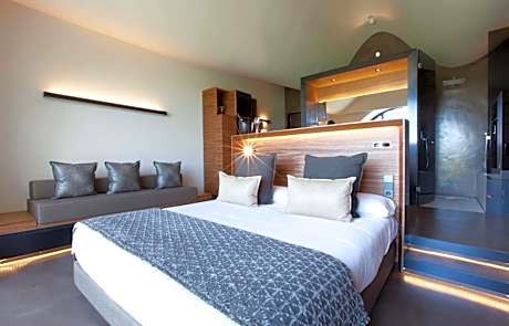 Premium Double or Twin Room