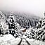 Alpine 1 bed Chalet with beautiful views