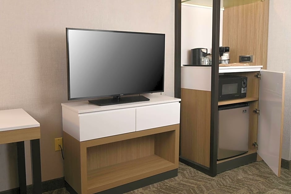 SpringHill Suites by Marriott Des Moines West