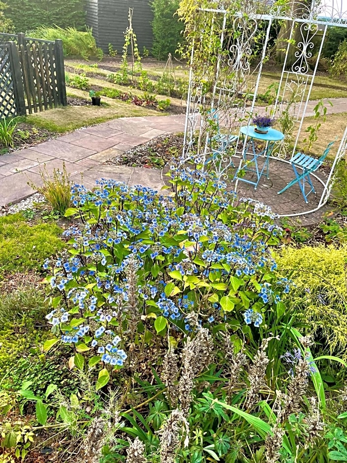 Eagle House - Award Winning B&B and Apartment